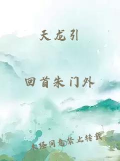 天龙引