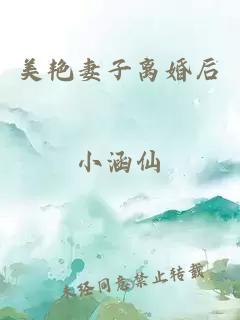美艳妻子离婚后