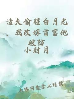 渣夫偷腥白月光，我改嫁首富他破防