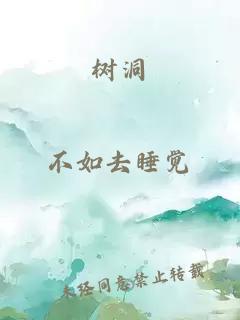 树洞