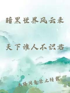 暗黑世界风云录