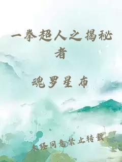 一拳超人之揭秘者