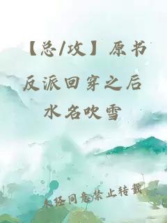 【总/攻】原书反派回穿之后